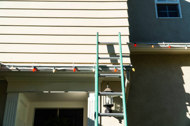 Best Siding Removal and Disposal  in Benavides, TX