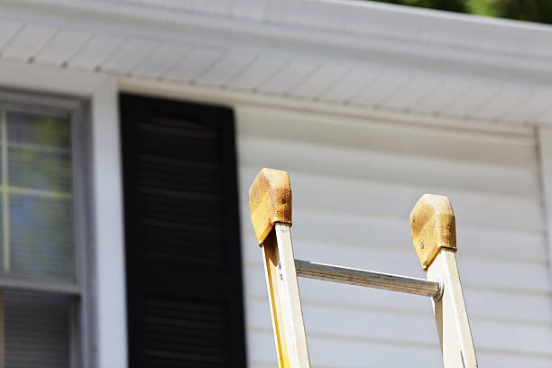 Best Aluminum Siding Installation  in Benavides, TX